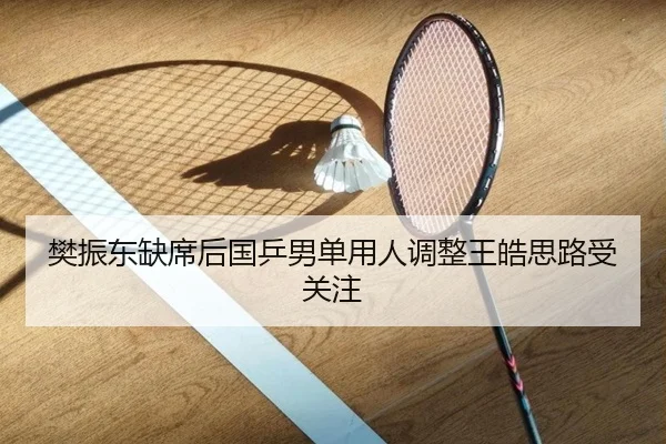 樊振东缺席后国乒男单用人调整王皓思路受关注